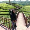 .iniadell