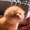 miexinkxink