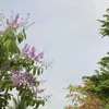 kobietten086