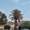 ahmedalghamdi0099