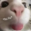 tvynofilter