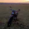 alphavod_774