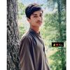 user761983407145