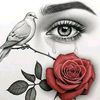 user6124000519404