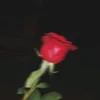 aash0074