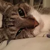 hulya.moppie5