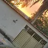 pedro04929