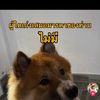 errorvr.2