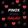 pinox_820