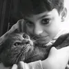 wow.tiktokdamla