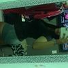 violeta._.rdrigz