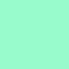 k.2exottic