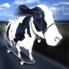 hamburgerhelper023