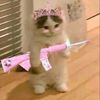 smeyye_77tnc