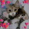nadia.maha7