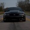saleenmustang