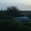 chahenesy26