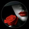 user6335090216162