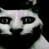 hxrry1111