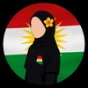 shadan.hushyar