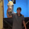 gaeth.almasri