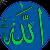 user5938455506174