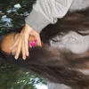 an1nha_033