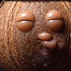 ilhaanabbassi