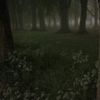 tulicapi.com00