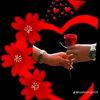 user8071092223921