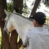 leonardomat0s_