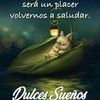 silvia.martnez595