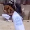 o.uu49