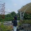 trisnawati.nurmala