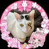 tubuanko555