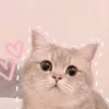 qunhanhl.l
