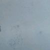aman.hoon.yr4
