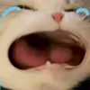 khng.longcute2