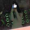 lyy.neang2