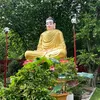 tampham19900