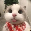 embemai_06
