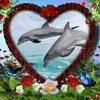 zeggane.farid