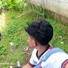 terongchan
