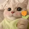 th_cuti02