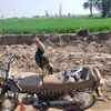 shahbaz_malik.77