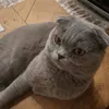 meli00148