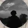 s_.t03