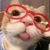 bosskkiffy