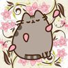 kipttt_