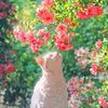 arefin.b0